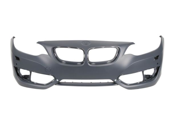 Blic Bumper 5510-00-0069903P