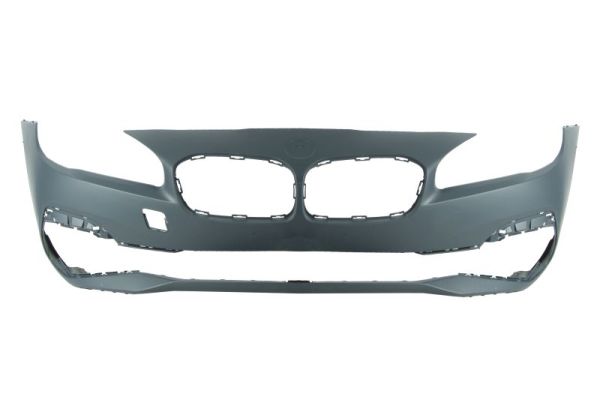 Blic Bumper 5510-00-0071906P