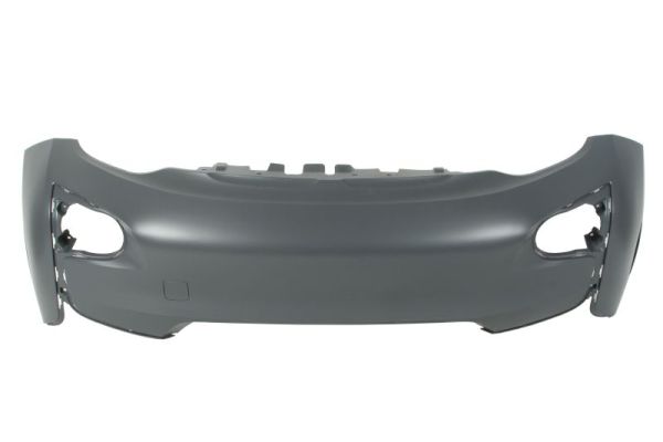 Blic Bumper 5510-00-0088901P