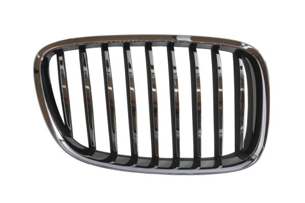 Blic Grille 6502-07-00679922P