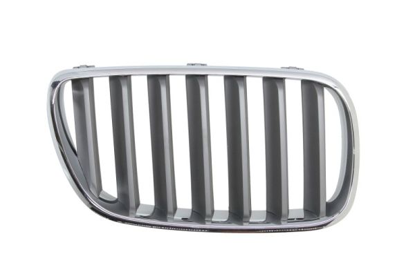 Blic Grille 6502-07-00939960P