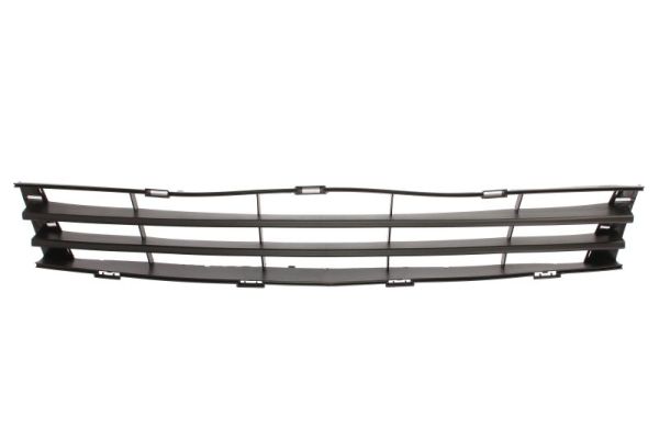 Blic Grille 6502-07-0536995Q