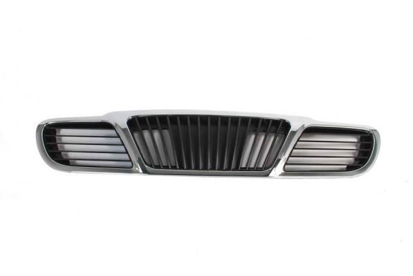 Blic Grille 6502-07-1106990P