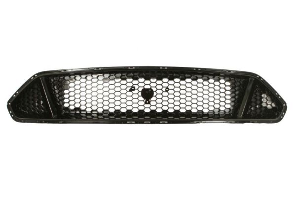 Blic Grille 6502-07-2553992P