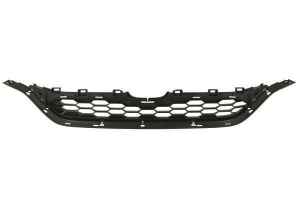 Blic Grille 6502-07-2958995P