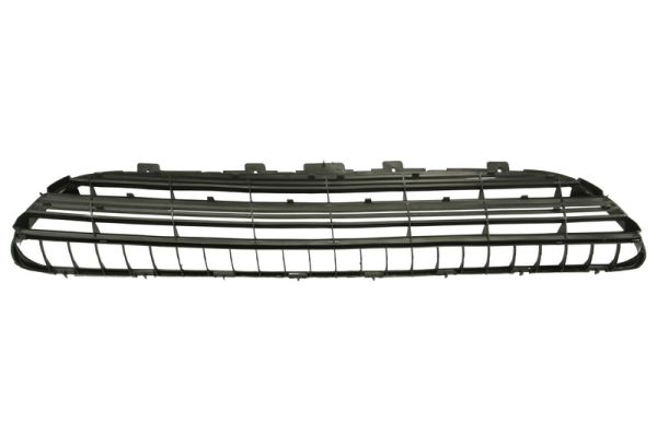 Blic Grille 6502-07-5536994P