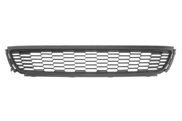 Blic Grille 6502-07-9507994Q