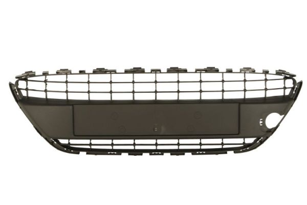 Blic Grille 6509-01-2565995P