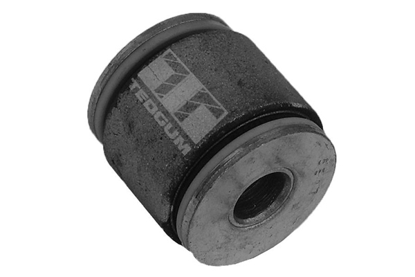 Tedgum Draagarm-/ reactiearm lager 00022393