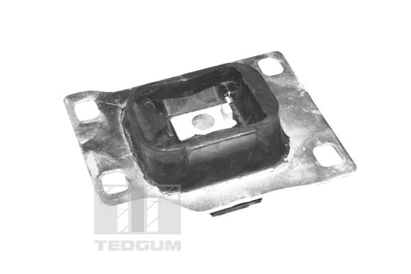 Tedgum Motorsteun 00228080