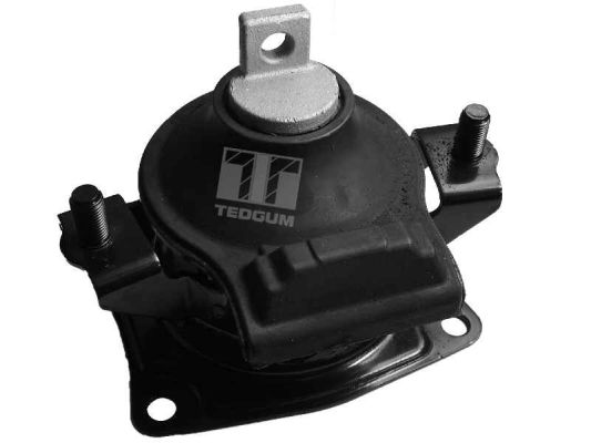 Tedgum Motorsteun 00263076