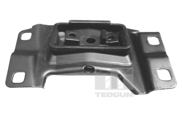 Tedgum Motorsteun 00391641