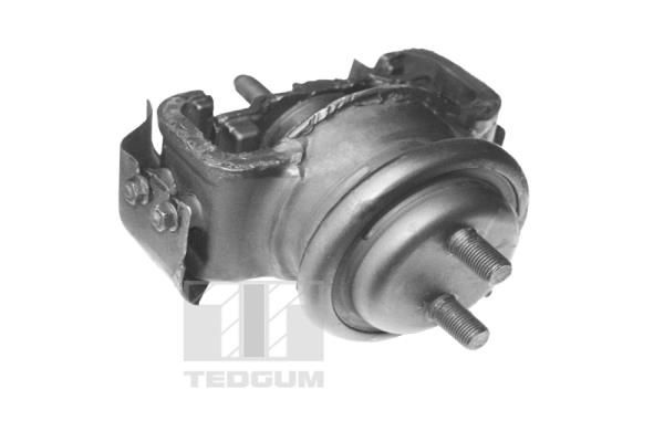 Tedgum Motorsteun 00395115