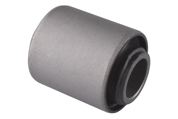 Tedgum Draagarm-/ reactiearm lager 00462153