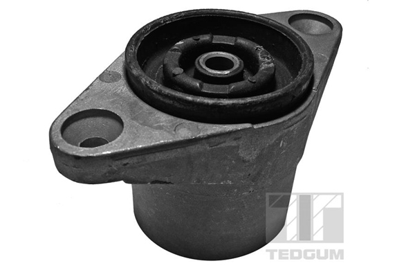 Tedgum Veerpootlager & rubber 00729328