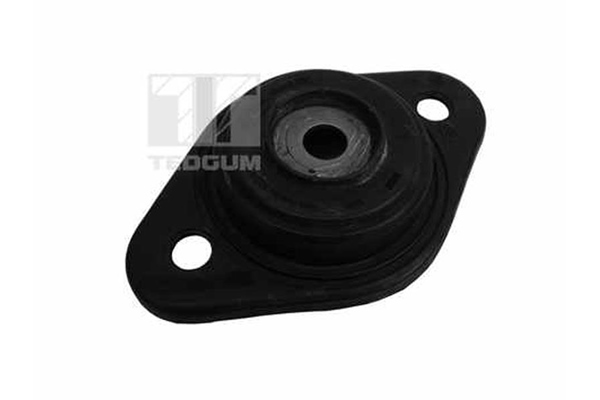 Tedgum Veerpootlager & rubber 00741990