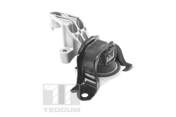 Tedgum Motorsteun TED25761