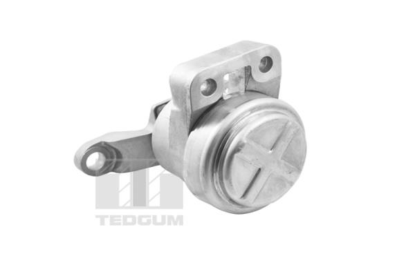 Tedgum Motorsteun TED36070