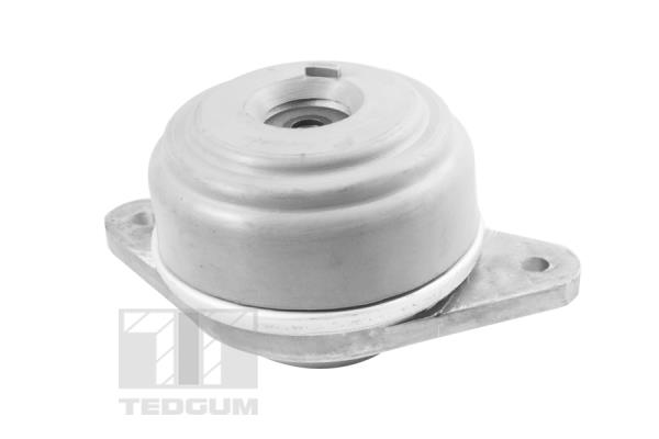 Tedgum Motorsteun TED37501