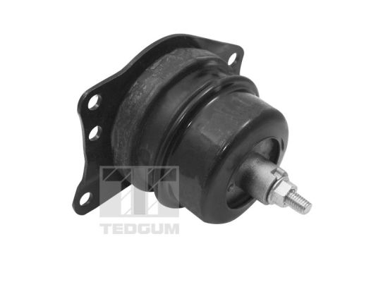 Tedgum Motorsteun TED40385