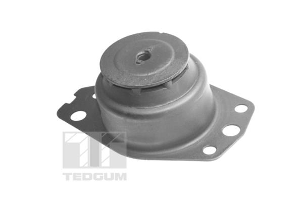 Tedgum Motorsteun TED96035