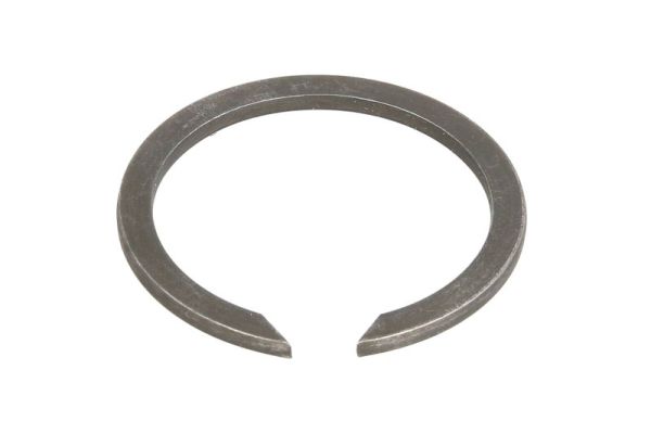 BTA ABS ring B06-1056