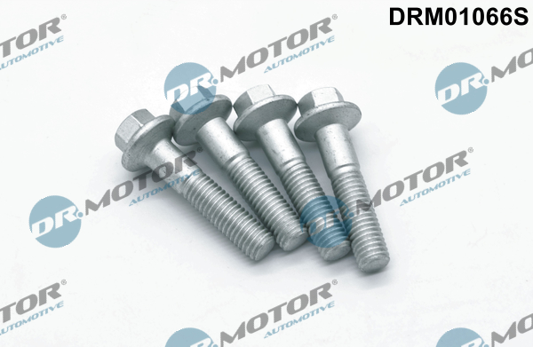 Dr.Motor Automotive Schroef DRM01066S