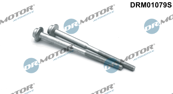 Dr.Motor Automotive Schroef DRM01079S