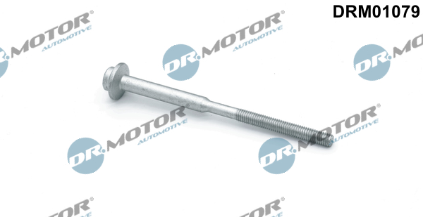 Dr.Motor Automotive Schroef DRM01079