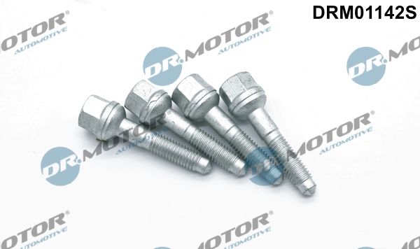 Dr.Motor Automotive Schroef DRM01142S