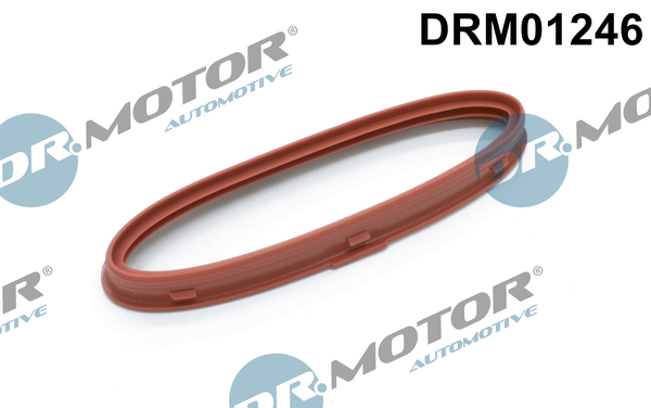 Dr.Motor Automotive Turbolader pakking DRM01246