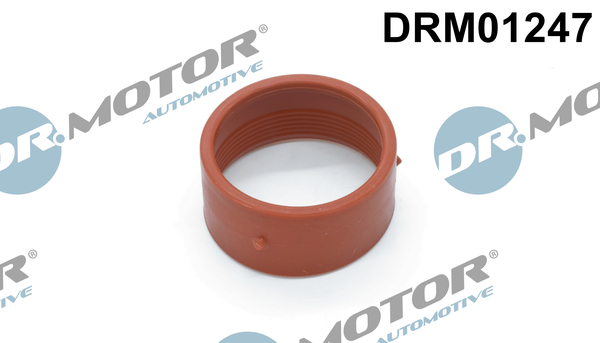 Dr.Motor Automotive Laadlucht-/turboslang DRM01247