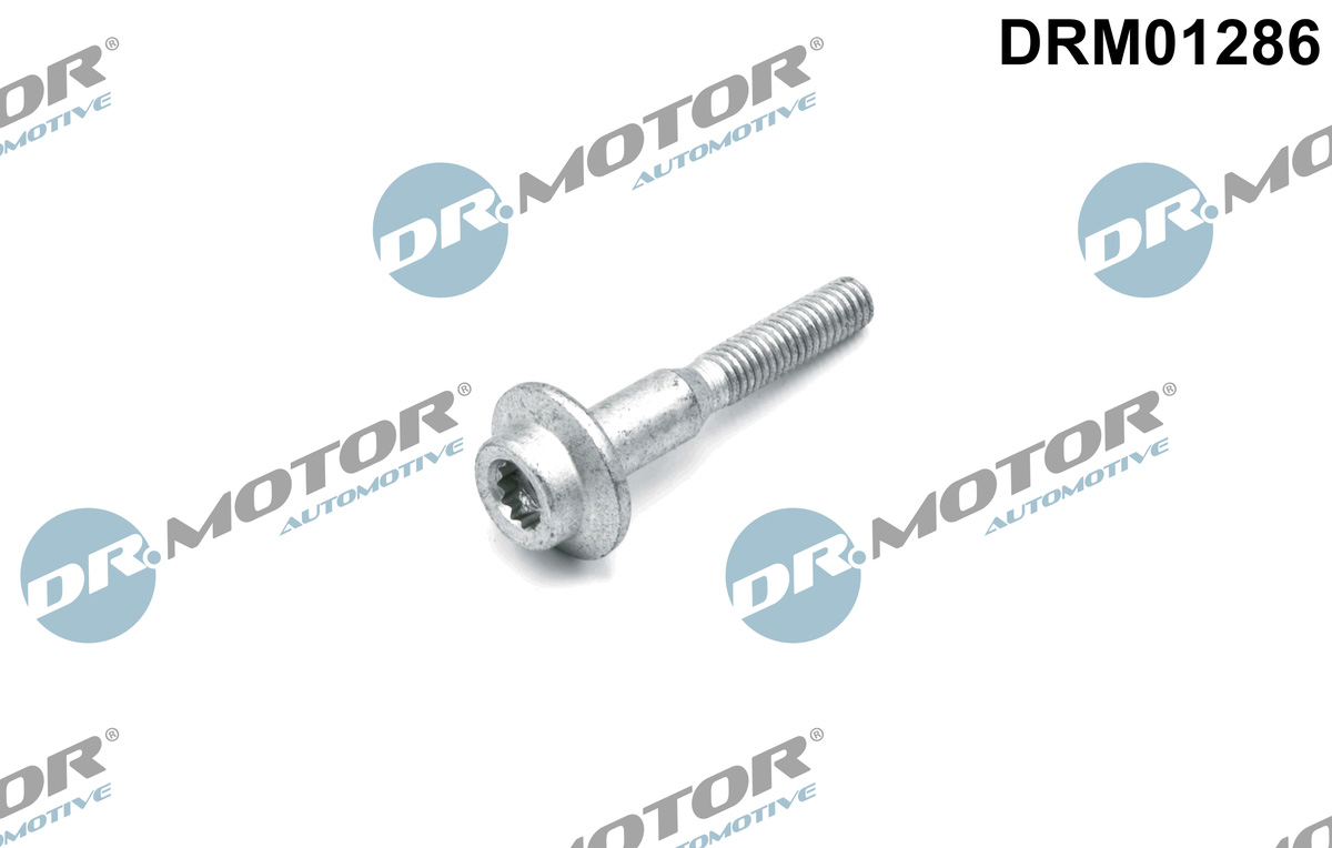 Dr.Motor Automotive Schroef DRM01286