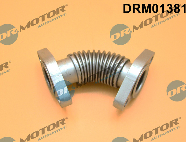 Dr.Motor Automotive EGR-klep DRM01381