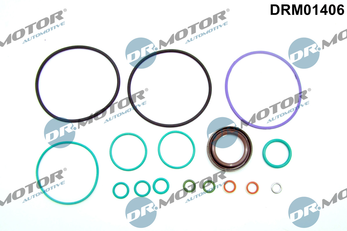 Dr.Motor Automotive Brandstofpomp reparatieset DRM01406