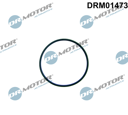 Dr.Motor Automotive Brandstofpomp pakking DRM01473