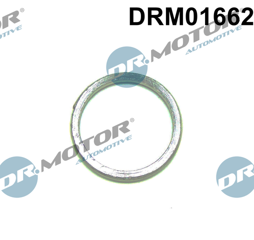 Dr.Motor Automotive Turbolader pakking DRM01662