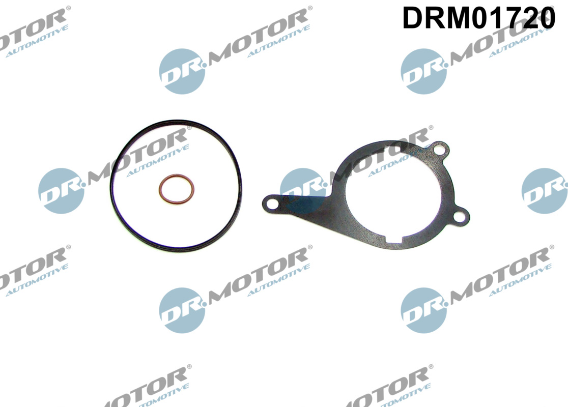 Dr.Motor Automotive Rembekrachtiger DRM01720
