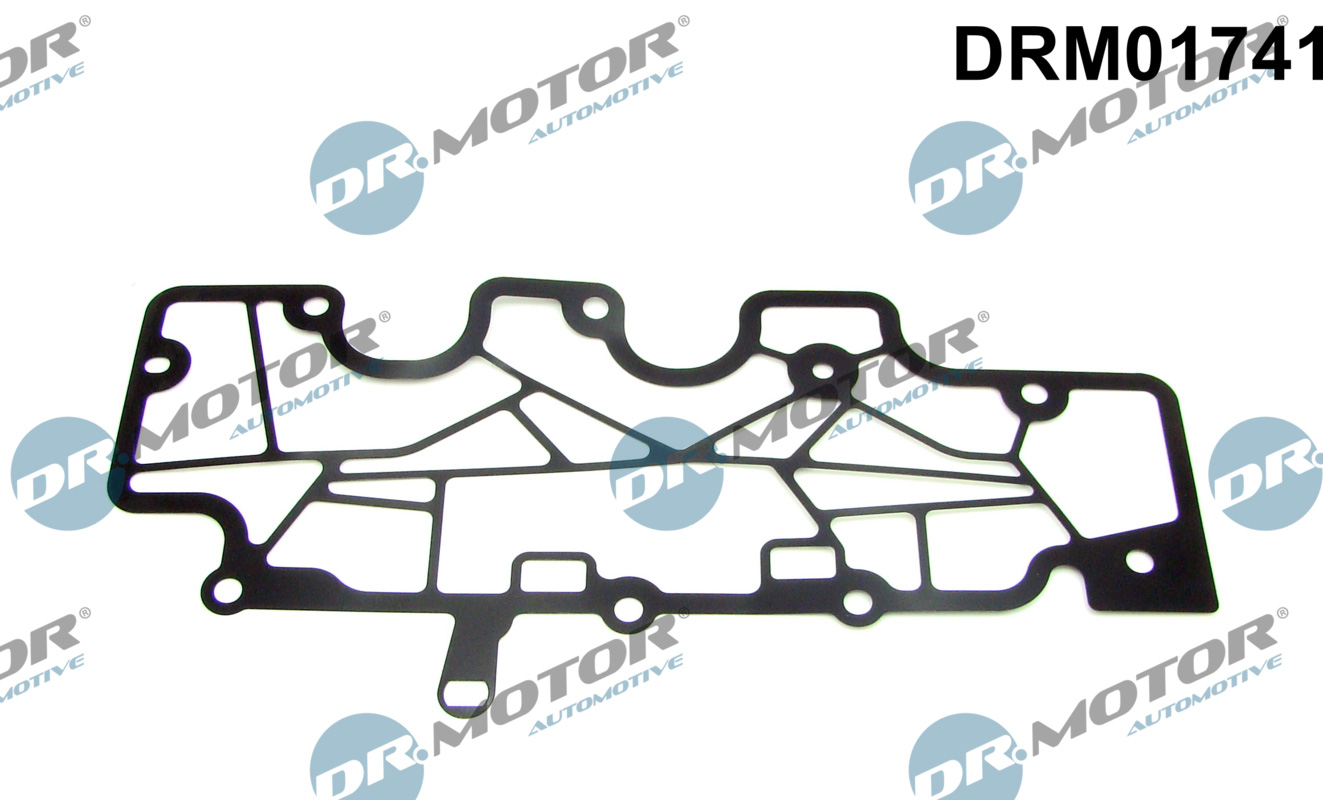 Dr.Motor Automotive Carterontluchting pakking DRM01741