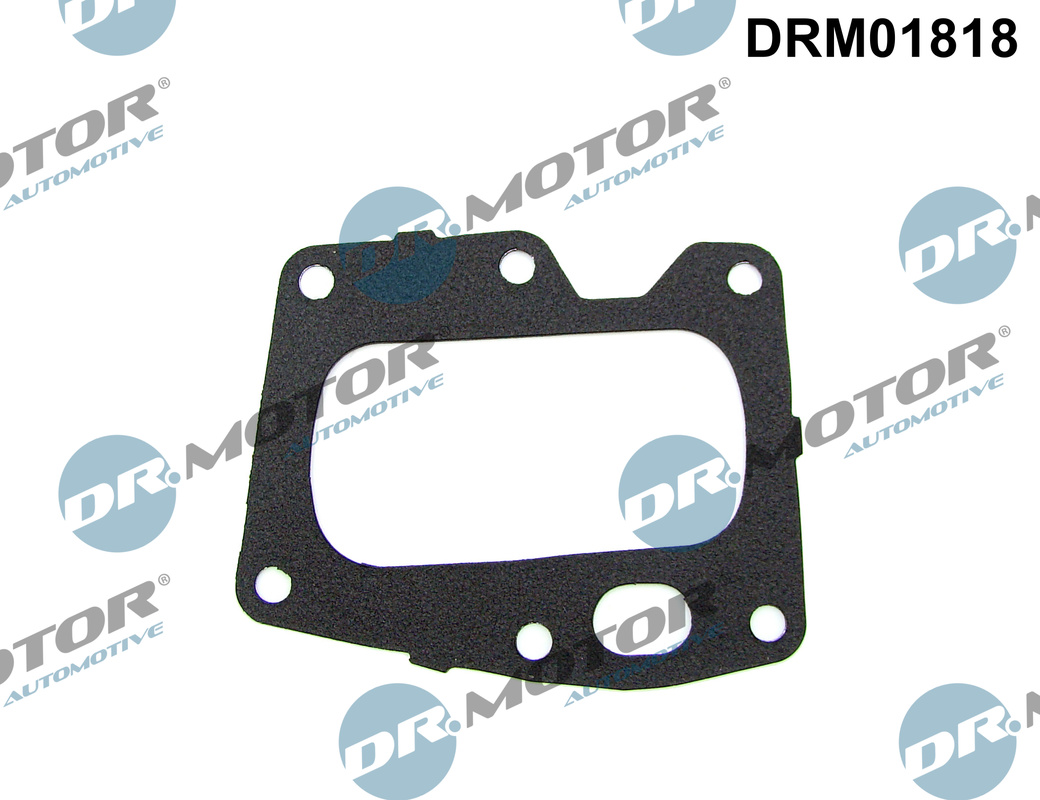 Dr.Motor Automotive EGR-klep pakking DRM01818