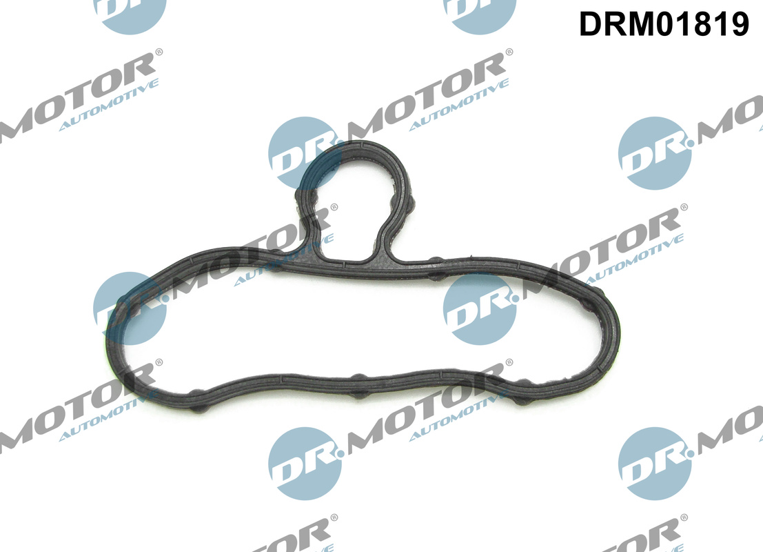 Dr.Motor Automotive Distributiecarter pakking DRM01819