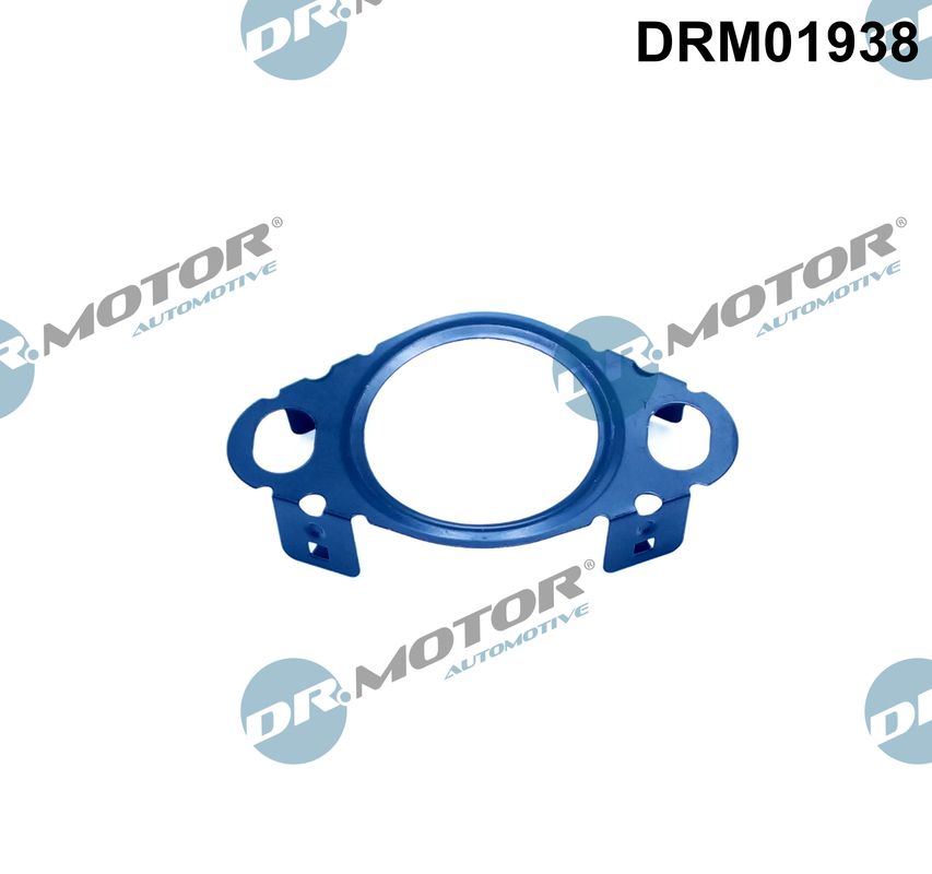Dr.Motor Automotive Dichtring EGR-klep leiding DRM01938