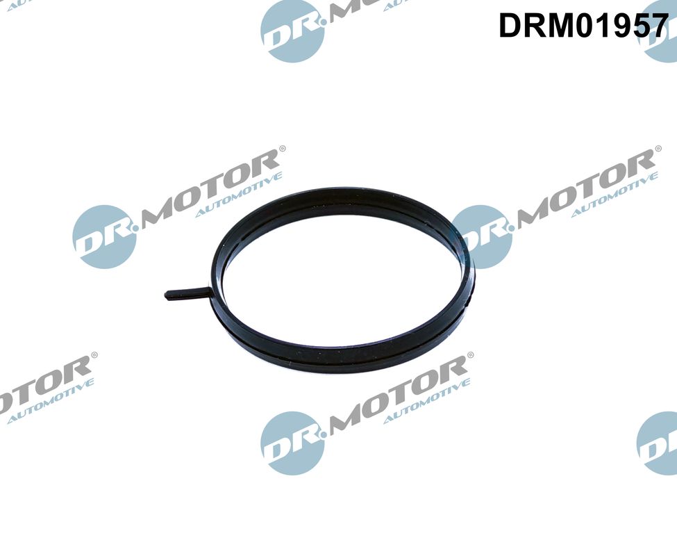 Dr.Motor Automotive Pakking DRM01957