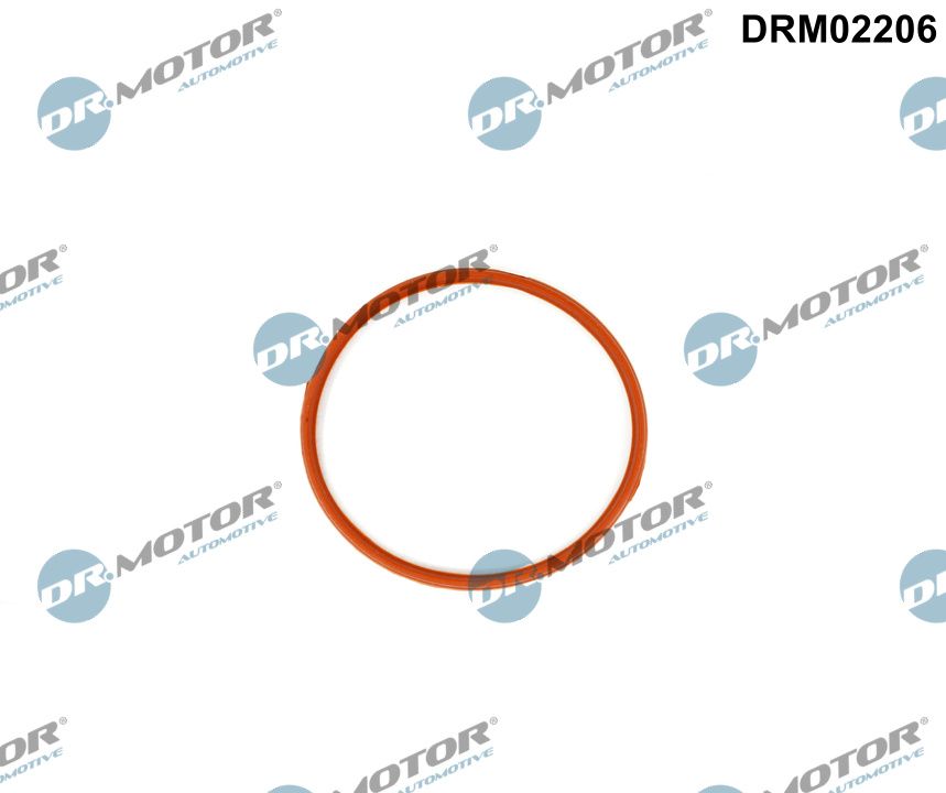 Dr.Motor Automotive Inlaatspruitstukpakking DRM02206