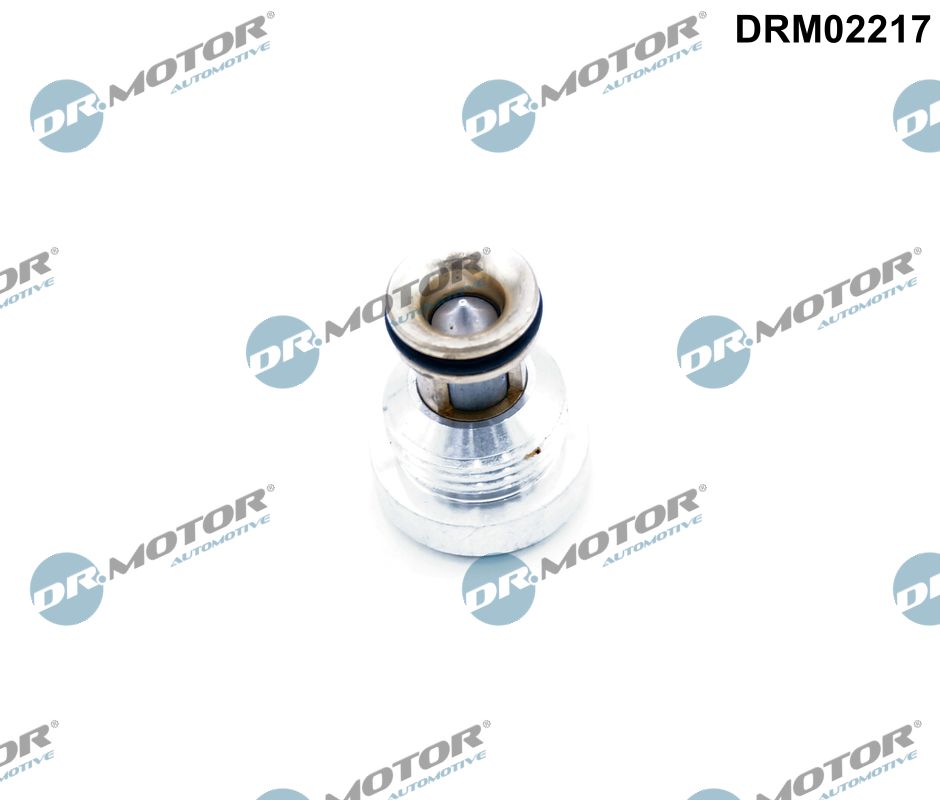 Dr.Motor Automotive Terugslagklep DRM02217