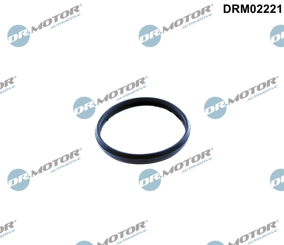 Dr.Motor Automotive Kettingspanner pakking DRM02221