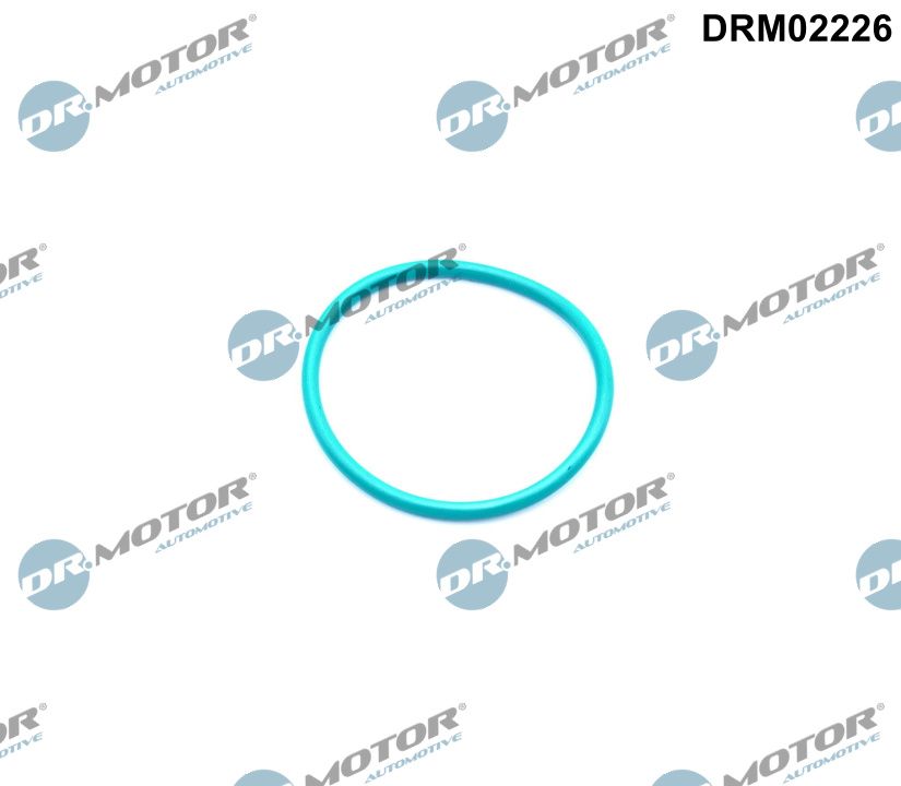 Dr.Motor Automotive EGR-klep pakking DRM02226