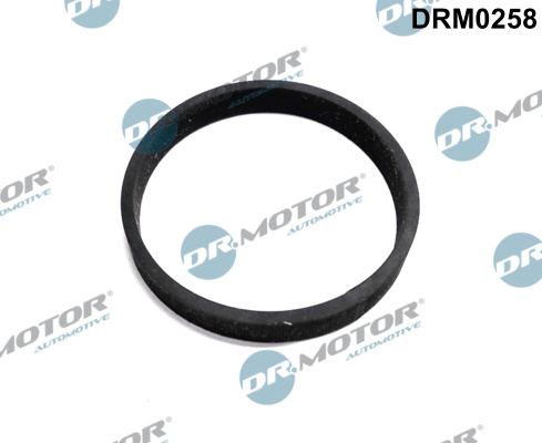 Dr.Motor Automotive Olie inlaat turbolader pakking DRM0258