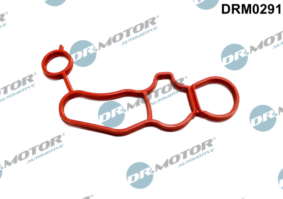 Dr.Motor Automotive Oliefilterhuis pakking / O-ring DRM0291