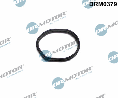 Dr.Motor Automotive Distributiecarter pakking DRM0379